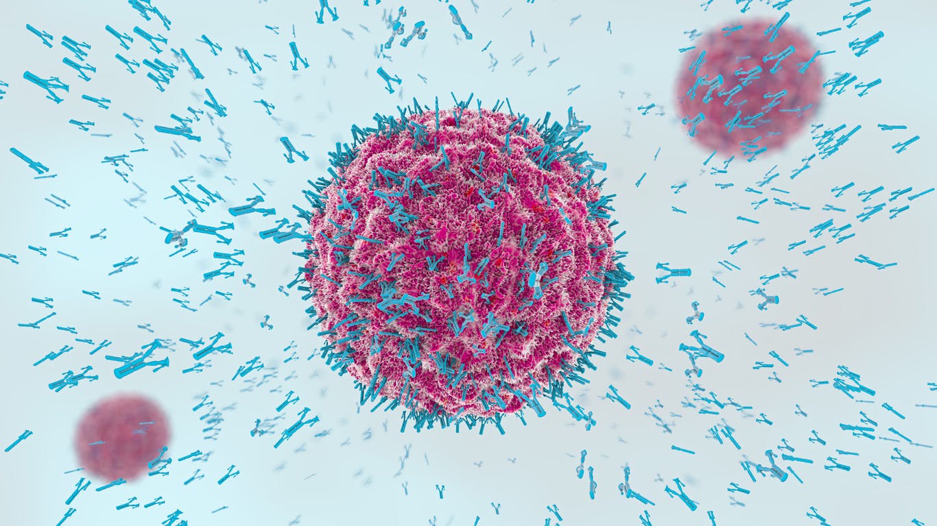 Le système immunitaire : mieux comprendre son fonctionnement