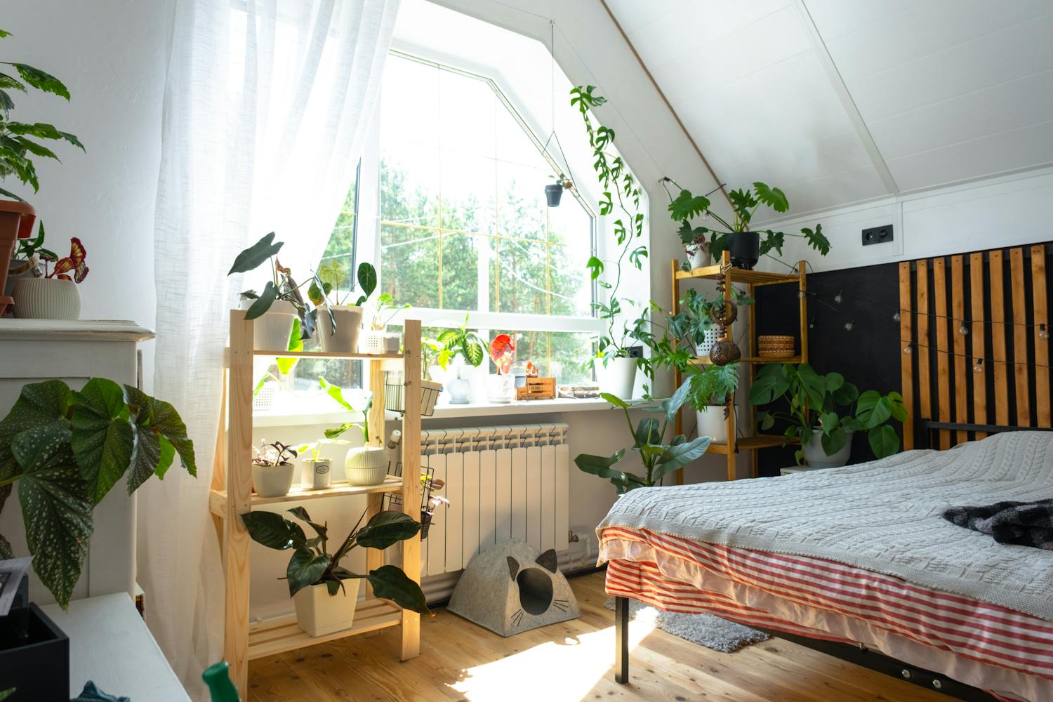 Quelles plantes vertes mettre dans ma chambre pour bien dormir ?