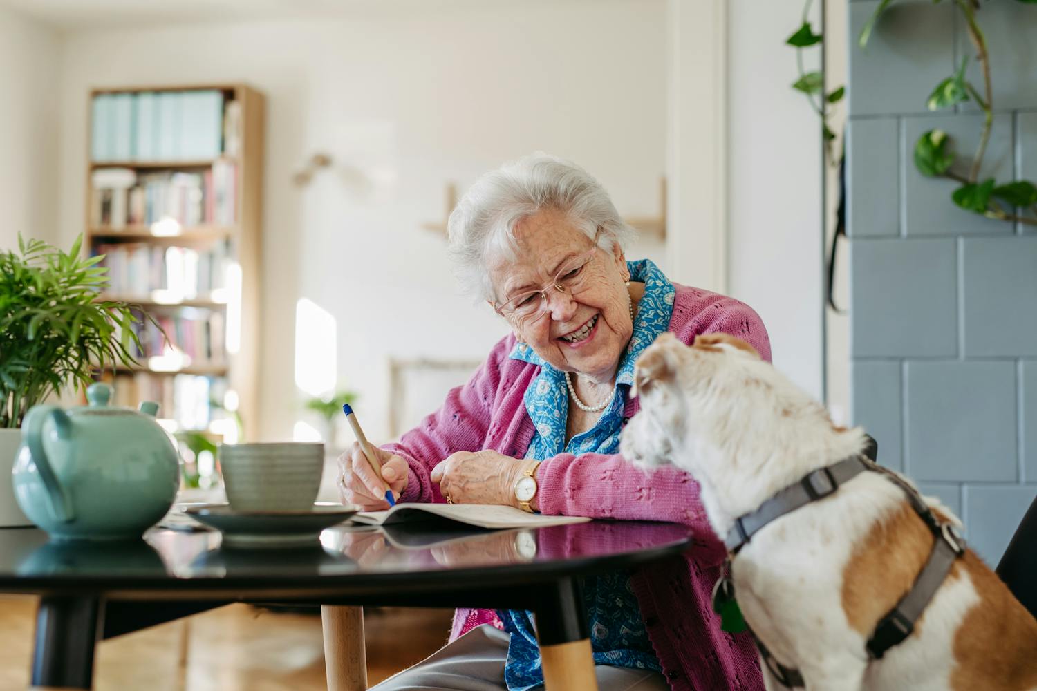 Jeux et activités : comment distraire et occuper les malades d'Alzheimer ?