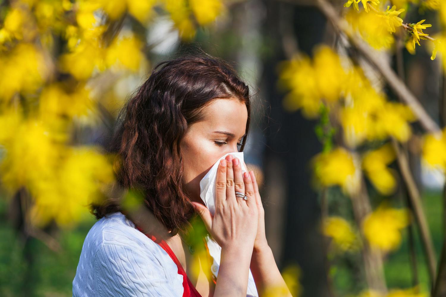 Rhume des foins : faut-il choisir un antihistaminique oral ou local ?