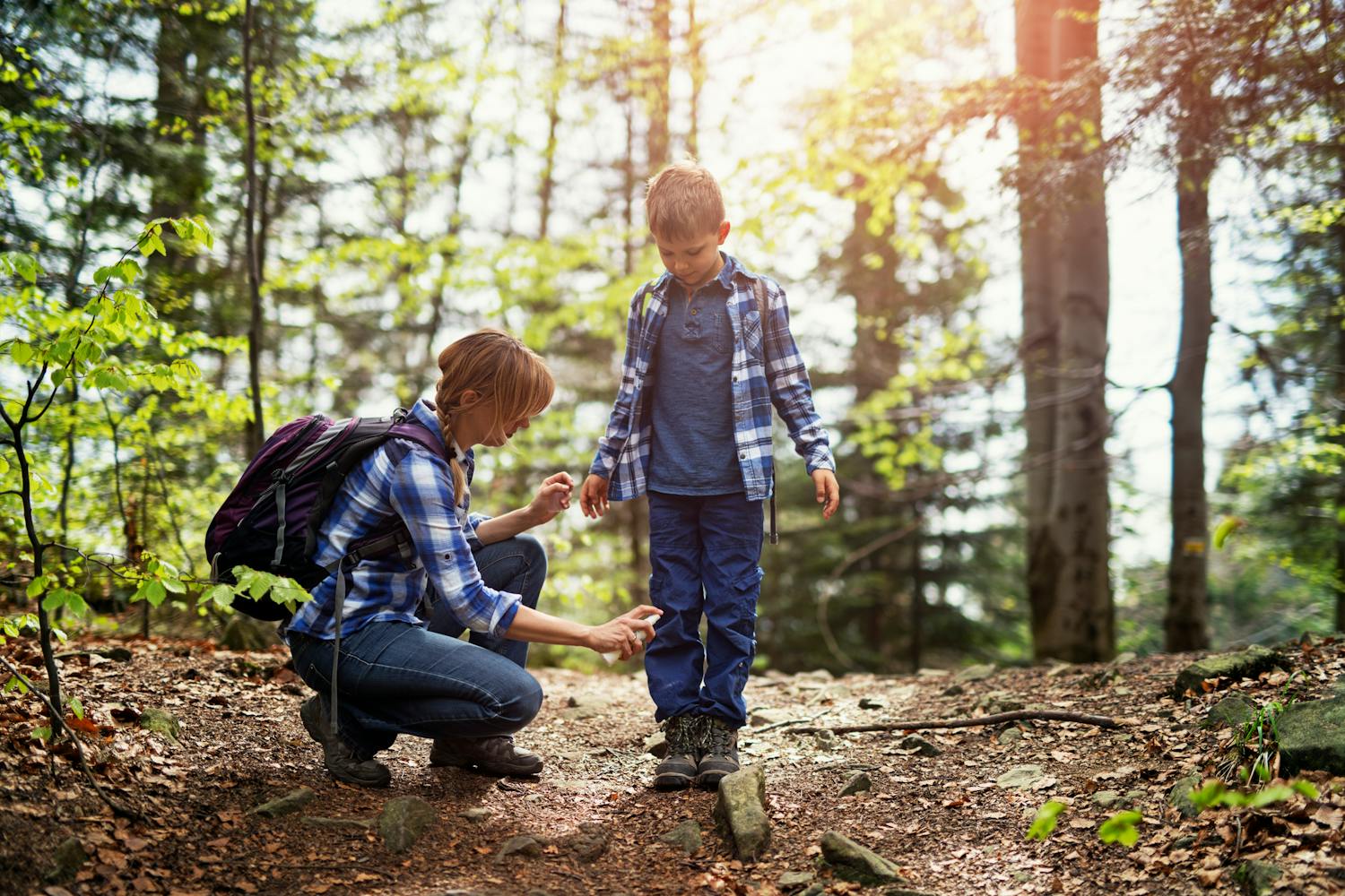 Quelles huiles essentielles utiliser contre les tiques ?